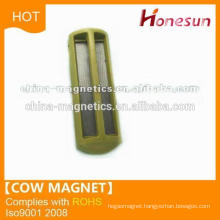 D35x100 cow magnet